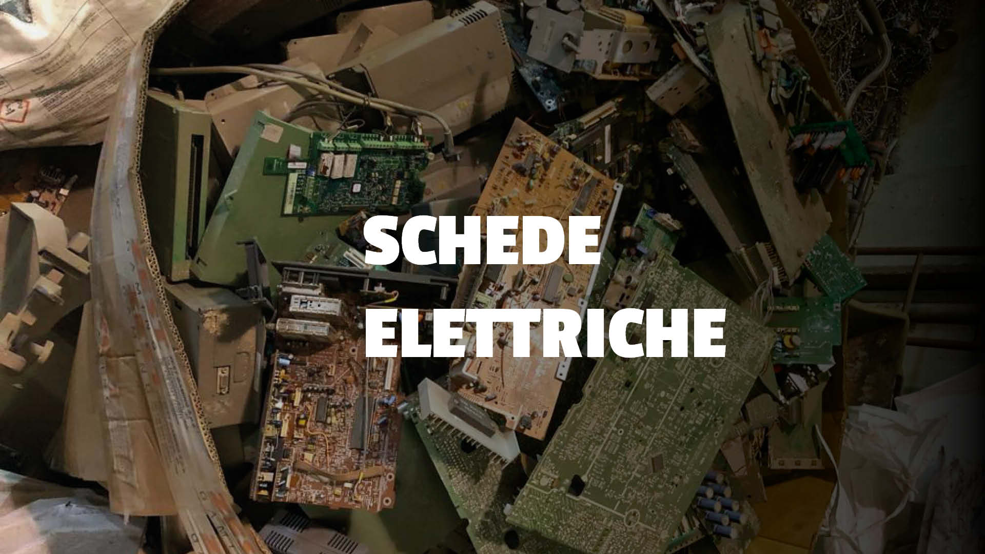schede